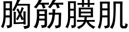 胸筋膜肌 (黑體矢量字庫)