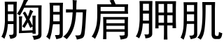 胸肋肩胛肌 (黑體矢量字庫)