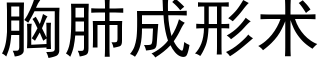 胸肺成形術 (黑體矢量字庫)