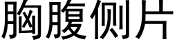 胸腹側片 (黑體矢量字庫)