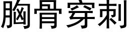 胸骨穿刺 (黑體矢量字庫)