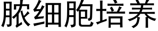 膿細胞培養 (黑體矢量字庫)