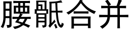 腰骶合并 (黑體矢量字庫)