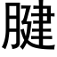 腱 (黑體矢量字庫)