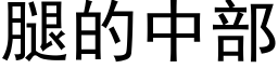 腿的中部 (黑体矢量字库)