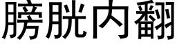 膀胱内翻 (黑体矢量字库)