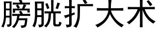 膀胱扩大术 (黑体矢量字库)