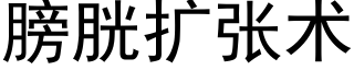 膀胱扩张术 (黑体矢量字库)