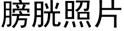 膀胱照片 (黑体矢量字库)