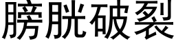 膀胱破裂 (黑体矢量字库)