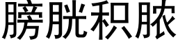 膀胱积脓 (黑体矢量字库)