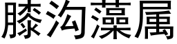 膝沟藻属 (黑体矢量字库)