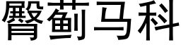 臀蓟马科 (黑体矢量字库)