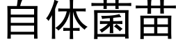 自体菌苗 (黑体矢量字库)