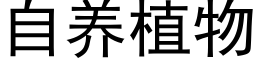 自养植物 (黑体矢量字库)