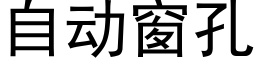 自动窗孔 (黑体矢量字库)