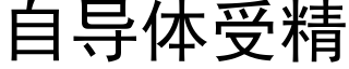 自导体受精 (黑体矢量字库)