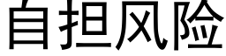 自担风险 (黑体矢量字库)