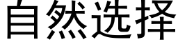 自然选择 (黑体矢量字库)