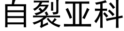 自裂亚科 (黑体矢量字库)