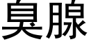 臭腺 (黑体矢量字库)