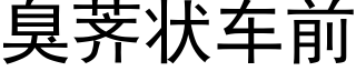 臭荠状车前 (黑体矢量字库)