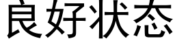 良好状态 (黑体矢量字库)