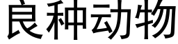 良种动物 (黑体矢量字库)