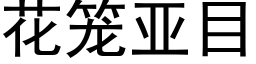 花籠亞目 (黑體矢量字庫)