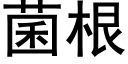 菌根 (黑體矢量字庫)