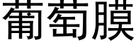 葡萄膜 (黑体矢量字库)