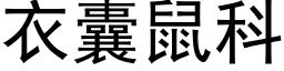 衣囊鼠科 (黑體矢量字庫)