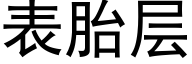 表胎层 (黑体矢量字库)