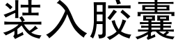 装入胶囊 (黑体矢量字库)