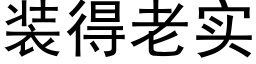 装得老实 (黑体矢量字库)