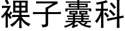 裸子囊科 (黑体矢量字库)