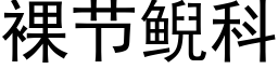 裸節鲵科 (黑體矢量字庫)