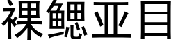 裸鳃亚目 (黑体矢量字库)