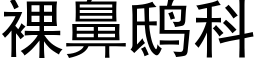 裸鼻鸱科 (黑體矢量字庫)