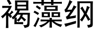 褐藻纲 (黑体矢量字库)