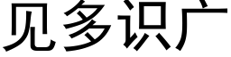 見多識廣 (黑體矢量字庫)