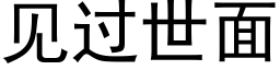 见过世面 (黑体矢量字库)