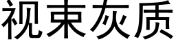 視束灰質 (黑體矢量字庫)