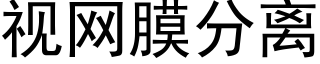 視網膜分離 (黑體矢量字庫)