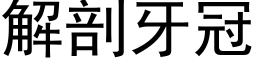 解剖牙冠 (黑体矢量字库)