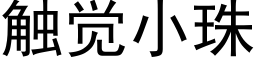 觸覺小珠 (黑體矢量字庫)