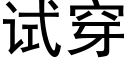 試穿 (黑體矢量字庫)