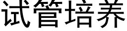 试管培养 (黑体矢量字库)