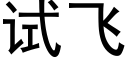 试飞 (黑体矢量字库)