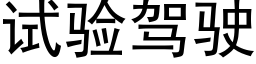 试验驾驶 (黑体矢量字库)